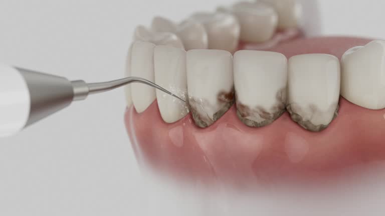 Reliable Dental contractor in Grosse Pointe Park, MI by Dentist Open Now